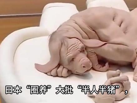 日本“圈养”大批“半人半猪”,体内长着人体器官,说是为救人命
#科普 #涨知识 #科普一下 #科普知识 #冷知识科普