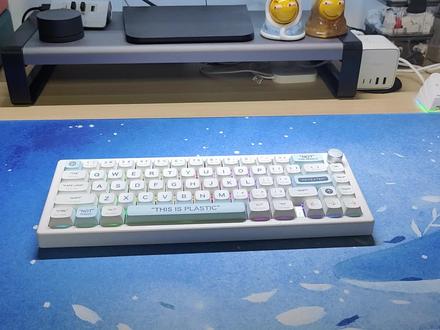 200出头软弹感出众的Gasket套件 ,它好像一个发面馒头,是ESC66也是GMK67