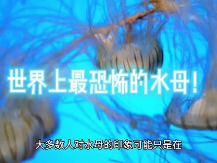 在深海的黑暗世界里,有一种奇特的巨型生物,它们看起来像是来自外星球,却在地球深处生存。你知道它们是什么吗#海洋生物 #科普 #生命科学 #自然知识科普