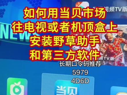 如何利用当贝市场在电视上或者机顶盒上安装野草助手和第三方软件#野草助手#野草助手口令#当贝市场