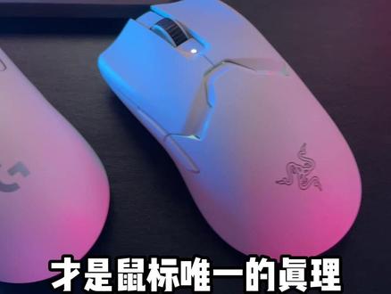 毒蝰v2PRO 和GPW2如何选择?#鼠标 #数码科技 #鼠标推荐