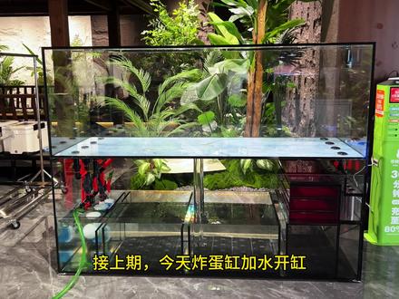 炸蛋缸开缸加水 炸不炸缸,交给时间#自制鱼缸 #全玻璃一体鱼缸