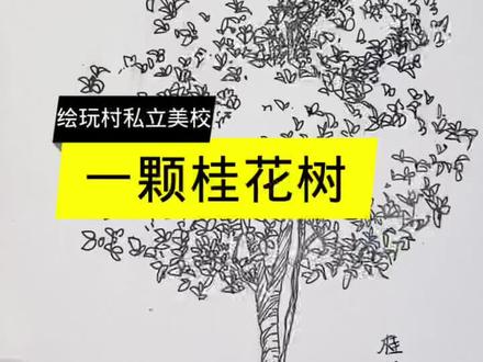 #速写,#画画 #零基础学画画 #想画就画 #画画使我快乐 #每天进步一点 #画画练习打卡 #每日一画 今天那就简单学习一颗桂花树吧!