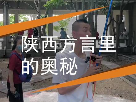 老虎老鼠,啥sa分不清楚😂@抖音旅行 #旅行大玩家 #陕西方言