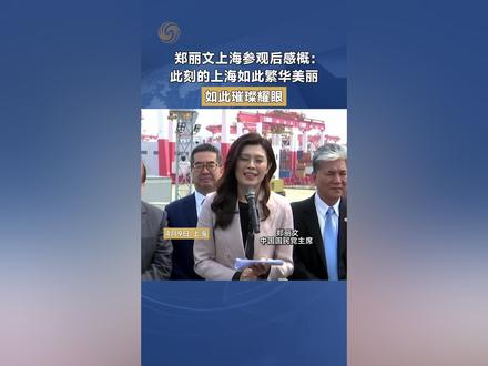 郑丽文上海参观后感概:此刻的上海如此繁华美丽,如此璀璨耀眼#中国 #台湾 #郑丽文