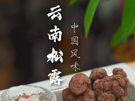 美食界的高端食材松露,到底是个什么样的人间至味呢?#松露 #黑松露