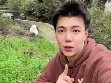 快速召唤狗的技巧!#边牧 #萌宠出道计划