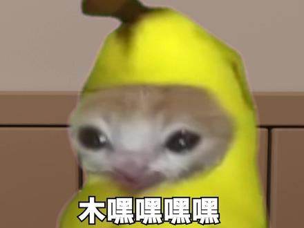校园趣逝系列28.0 #猫meme #抽象 #搞笑