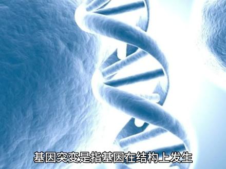 基因突变的原因是什么?#生命科学 #科学科普
