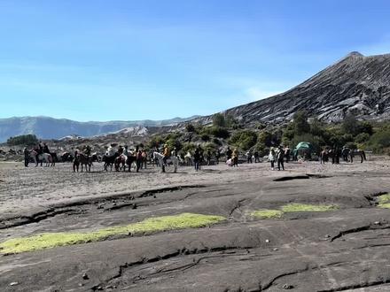 前两天演员李现爬布罗莫火山的照片让他又一次🔥出新高度,被誉为内娱“野生顶流”,网友评论说:明星也要吃火山🌋的苦啊!
没错!我很负责任地告诉你:爬布罗莫火山的确是我这辈子吃过最大的苦了!不但吃苦,还担惊受怕,以至于回看时,感觉所拍照片根本无法说明它的艰险。
就像看花少团登这段的视频里尽管反复用了凯丽姐痛苦的表情,但单看画面以为是她年纪大才体力不支;航拍镜头和他们在火山顶的现场采访,也只感受到了他们登顶的喜悦和激动,没能反映出火山喷发的震撼和壮观。
或许是阴天的缘故,单看画面根本感受不到地球的心脏在脚下跳动的旋律和它呼吸的味道!
没错!前面看日出时拍到的火山全貌中,冒着白烟的那座山就是Bromo火山。它在2004年、2010年和2019年都发生过爆发,至今仍持续活跃。2016年7月20日,火山再次爆发。
为了抚慰山神,当地村民每年都要举行祭山仪式,将鸡、羊、水果等投入火山口,以求山神不要发怒,保他们平安。
值得欣慰的是:Bromo火山的活动也创造了特殊的景观和生态系统,吸引了世界各地的游客和当地居民前来体验这座充满神秘色彩的圣山。
因火山活动具有不确定性,爬火山的行程需根据当地公告调整,得灵活应对天气变化。
所以说,能来爬这座活火山的人已经很勇敢了,能登上火山口的绝对是经受住体力和毅力考验的勇士!
好吧,说这么多也只是序章,下面进入正题。
话说我们和吉普车合完影司机问我们下一站要不要骑马?有过一次骑马上山经历的我本就排斥,加之语言不通,人民币和印尼币的汇率也没完全搞懂,说半天也没弄明白费用。时间紧迫,一致同意去了再说。
在旷野中一路驰骋,停车后热浪扑面而来,一身冬装的我们赶紧脱衣。
惯例:我下车后的第一件事便是找卫生间。看一圈,除了马匹,简易铺面里只有方便面和水,压根没有WC的影子。感情除了半夜在中转站上了5000一次的简易茅房,这两处景点就只能憋着了?!
看着漂亮的彩虹马,我斩钉截铁地说我不骑马,要走路过去,说完起身就走。别的队友没搞清状况,也一头雾水跟着我大步朝前。
But,没走几步我就后悔了,没做攻略的我根本不知道此站是去干啥,以为骑马只是为了体验,骑完一段平地就下来了。
出发后才发现,大错特错了!这里的骑马完全是代步,也是最佳、最有效且在这种特殊地貌下唯一能选择的交通工具。
#带你看世界 #抖音看世界 #旅行 #旅行推荐官