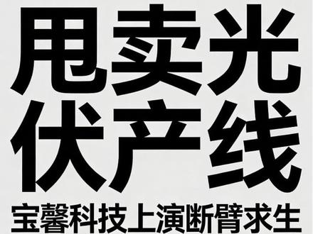 宝馨科技上演“断臂求生”#光伏#光储#热点#涨知识