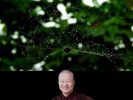 因果轮回是存在的,人不只要为这辈子打算,也要为下辈子打算#曾仕强教授 #涨知识 #传统文化 #一定要看到最后 #人生感悟