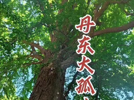 丹东大孤山到底灵不灵 #上热门话题🔥🔥🔥 #丹东大孤山 #大孤山 #旅游攻略 @DOU+小助手 #旅行vlog