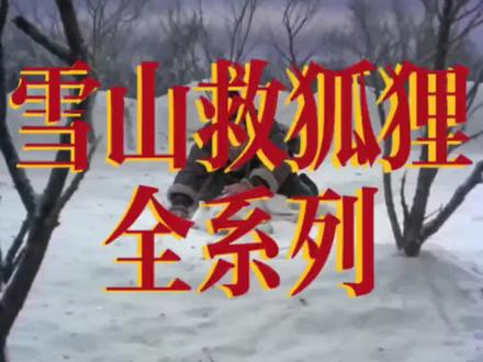 #雪山救狐狸 完整版雪山救救救救狐狸!