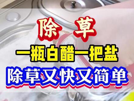 一瓶白醋,一把盐,除草又快又简单。 #除草 #除草剂 #果园管理 #荒地除草 #农业种植