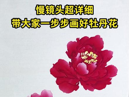 慢镜头超详细带大家画好牡丹花 #一起学画画#国画牡丹#牡丹画法#文豪教牡丹