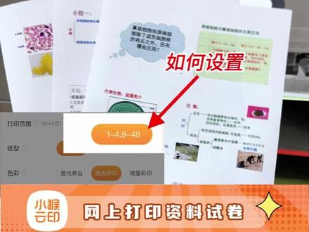 跳页打印的隐藏用法!一看就会! #打印小技巧 #跳页打印 #网上打印 #资料打印 #学生党
