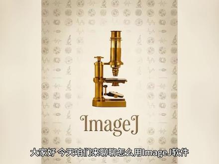 SEM/TEM 孔隙率不会算?ImageJ 一步到位!👇 1、打开Image J,打开SEM测试的目标图片(图像需清晰切包含比例尺)。
2、选择“Analyze”→“Set Scale”,用直线工具沿标尺绘制线段,输入实际长度和单位。
3、图像预处理,将图像转为灰度图:选择“Image”→“Type”→“8-bit”或“16-bit”,便于后续处理。
4、用矩形选框工具或自由hand工具,框选需统计的区域,排除标尺、标注等无关部分。
选择“Image”→“Duplicate”,复制选区到新文件,避免影响原图。
5、阈值调整:选择“Image”→“Adjust”→“Threshold”,拖动滑块使孔隙区域被红色覆盖,确保所有孔隙被准确识别。
若自动阈值效果不佳,可手动微调阈值范围,点击“Apply”应用设置,得到下图。
6、测量参数设置
选择“Analyze”→“Set Measurements”,勾选“Area”“Limit to Threshold”等参数,确保测量仅针对阈值选区。
根据需求可勾选“Feret's Diameter”“Perimeter”等参数,获取孔隙形状信息。
7、孔隙率计算
选择“Analyze”→“Measure”(快捷键Ctrl+M),软件自动计算孔隙面积。
图像的总面积可通过图像的像素进行直接计算,如下图总面积可由350.05×263.82计算得出
孔隙率 = 孔隙面积 / 总面积,结果以百分比或小数形式显示。
如上图所示SEM图像的成像方式,图中实际上为黑白,根据颜色深浅来实现图像显示,孔隙部分的颜色和飞孔隙部分可由黑白色进行明显区分。因此我们根据计算机的显示方式,按照统计像素的办法,从浅到深统计好所有的像素,再选择孔隙部分的像素占总像素的比例即可计算出孔隙率。
👇注意事项:
图片分辨率和对比度会影响结果准确性,需确保图像质量。
阈值调整需结合实际孔隙形态,避免过度或不足覆盖。
若孔隙形状复杂,可结合“Analyze”→“Analyze Particles”功能进一步分析孔隙数量、大小分布等。#电镜 #材料 #孔隙率 #研究生 #科研