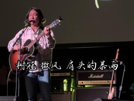 自然赠予你,树冠 微风 肩头的暴雨 2026.03.26万能青年旅店欧洲巡演伦敦站《山雀》 #万能青年旅店 #演出现场 #山雀