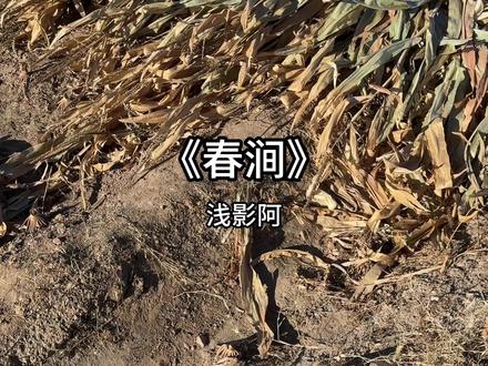 为何识得曲中意,皆因身为曲中人 #春涧 #翻唱 @DOU+小助手