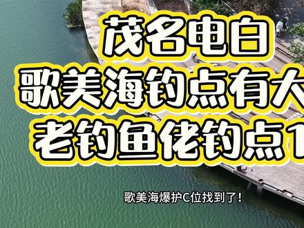 茂名电白歌美海钓点#钓鱼 #海钓 #野钓 #歌美海 #记录真实生活