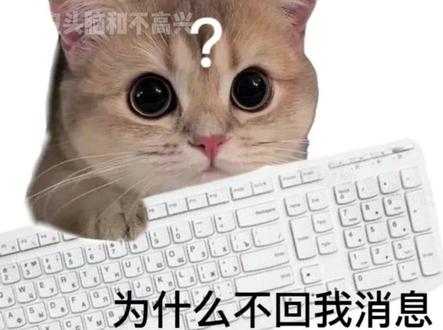 闺闺不语,只一味的续火花#多闪 #多闪app #续火花 #聊天