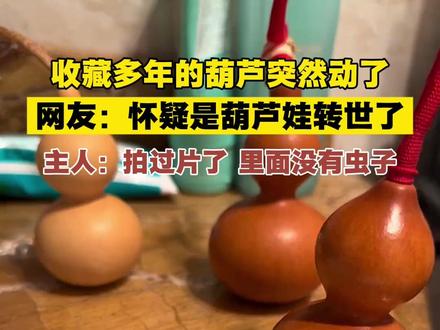 收藏多年的葫芦突然动了,网友:怀疑是葫芦娃转世了! #社会百态 #奇葩 #离谱 #葫芦娃 编辑:菘蓝