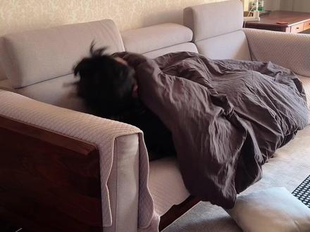 我解锁了贺然跑腿服务,你也来试试吧 #vlog日常#上海#马上开拍