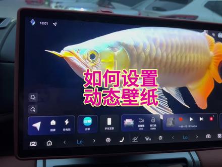 钛7好看的动态壁纸设置教程来喽~#方程豹钛7