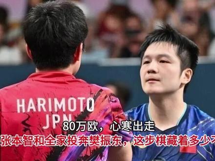 80万欧,心寒出走!张本智和全家投奔樊振东,这步棋藏着多少 #交换你镜头里的夏天