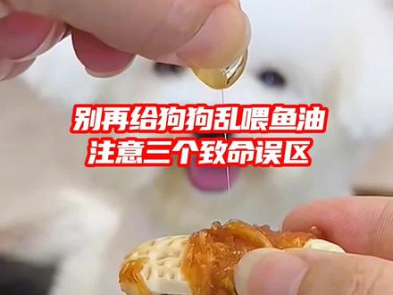 别再给狗狗乱喂鱼油,注意三个致命误区...#比熊 #狗狗知识分享 #萌宠小可爱 #我家毛孩子