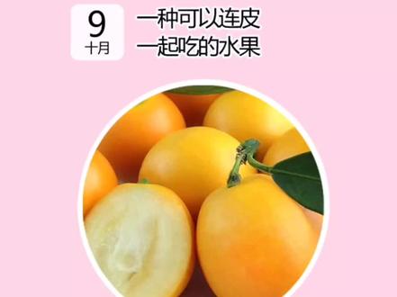 脆皮金桔和青金桔两种水果极为相识,成熟的脆皮金桔果皮金黄,酸甜适中,是一款可以直接带皮一起吃的水果,这恐怕是很多橘子所没有的。除了可以生食做水果茶也是一个不错的选择。#应季新鲜水果#水果茶#水果配送@金色果园水果配送