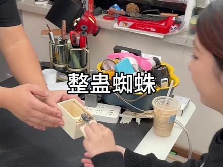 这了整蛊蜘蛛盒子,挺有意思 #整蛊玩具 #玩玩具