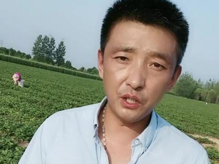 草莓是什么时候种 ee72c807fe1d4025b83854b4a78a6d04~tplv-dy-resize-origshort-autoq-75:330.jpeg?x-expires=2006413200&x-signature=sdgjGRhHHlyaI3zFrXrTn4nwVwU%3D&from=3213915784&s=PackSourceEnum_AWEME_DETAIL&se=false&sc=cover&biz_tag=pcweb_cover&l=2023080317430385979296010ECA01E4A4