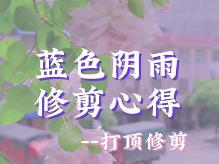 【蓝色阴雨】的修剪日志Top1