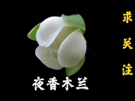 丝瓜瓤改造搓澡巾,背上也能洗到了,这个用起来太舒服了#缝纫 #Diy #丝瓜瓤 #旧衣改造 #裁剪 #搓澡神器 #洗澡神器