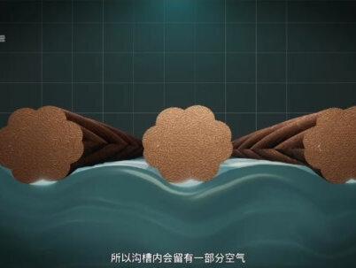 水黾的“轻功水上漂”绝技,是如何练成的? #水黾 #昆虫世界 #好奇中国 #知识前沿派对 #抖音精选