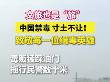 虽迟但到,文旅也是“旅”!中国禁毒,寸土不让!! 致敬每一位缉毒英雄!!!(素材源自网络)#缉毒 #缉毒警察 #安徽