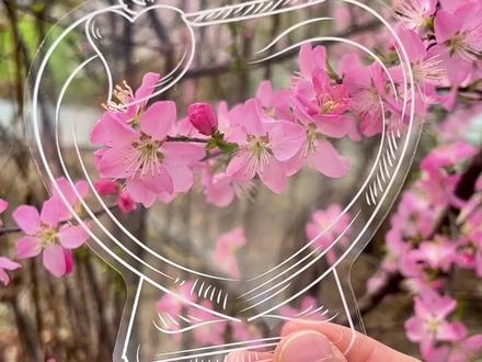 春暖花开的季节,周末陪孩子去公园收集春天,制作漂亮的#书签手工 仪式感满满。#手工diy #收集春天 #书签