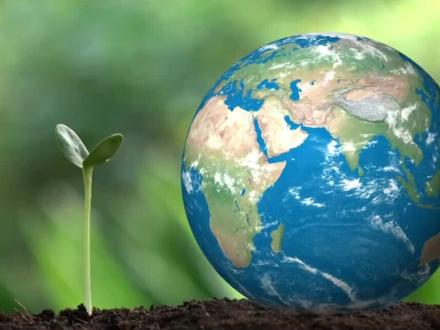 鲸鱼为什么会长那么大?#冷知识 #知识科普 #每天跟我涨知识 #知识分享 #有趣冷知识