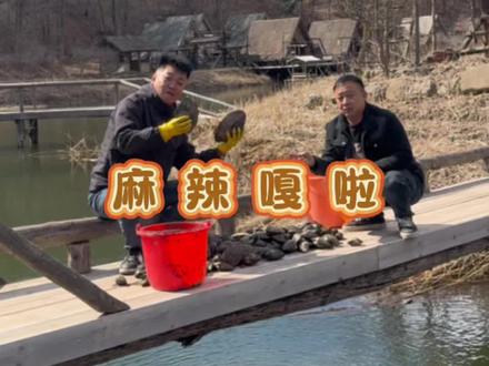 今儿这(麻辣嘎啦)做的真是太成功了,色香味俱全呐!#我的乡村生活 #河蚌 #嘎啦 #原生态原滋味 #真实户外