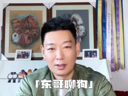有双血统就是好狗吗?