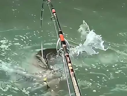 春天就要梨花带鱼。路亚带花AI指令教程来了!路亚梨花ai教程 路亚梨花豆包AI教程 路亚梨花教程 路亚AI教程 梨花钓鱼竿教程 梨花钓鱼竿AI 路亚桃花AI制作方法 路亚梨花视频怎么做的 路亚动画转场教程 路亚梨花 路亚梨花AI 路亚梨花AI口令 路亚樱花AI豆包口令 路亚樱花视频制作 路亚樱花ai 路亚樱花AI视频指令 路亚樱花AI花束制作 花式路亚竿AI花束教程 路亚樱花 梨花钓鱼竿豆包口令 AI梨花 鱼竿甩花AI生成 路亚梨花AI技巧 梨花钓鱼竿使用教程 梨花带鱼钓法 #春天就要梨花带鱼 #花式鱼竿 #路亚钓鱼 #豆包出大片有两把刷子 #豆包ai