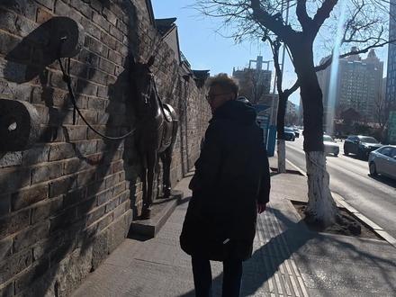 祝所有刷到这个视频的跑友:
马年摸马头,中签不用愁。
马年摸马腿,抬腿嗖嗖嗖。
马年摸马背,无伤跑得美。
马年摸马尾,PB乐悠悠。#马年祝福 #马拉松 #跑马人的浪漫 #今天你跑步了吗 #先跑再说