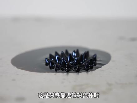 有趣的科学现象:为什么超导体会“锁定”铁磁流体?涨知识了 #磁铁 #实验