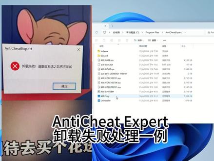 ACE卸载失败处理一例