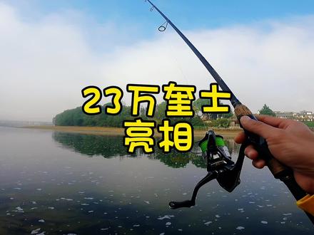 23万奎士首亮,伴随两条斤鳜完美演绎,祝您欣赏愉快#直柄鳜鱼 #万奎士2500shg #纺车轮