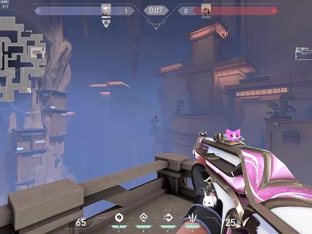 星守狂徒真的很好用#无畏契约 #时间会证明猫咪套