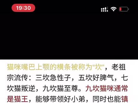 最后无奈的叹了口气 #猫猫我啊脑瓜子嗡嗡的