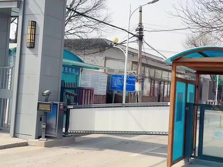 #金鱼#锦鲤#观赏鱼 买几条小鱼儿养养